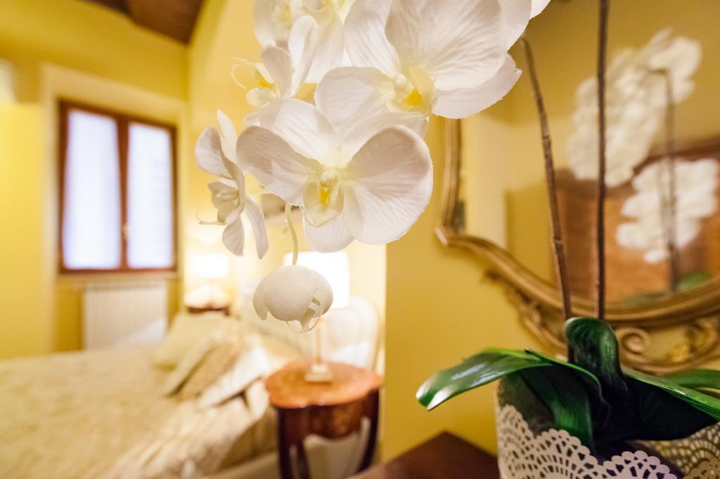 Impero Vaticano Navona Apartment Roma Ngoại thất bức ảnh